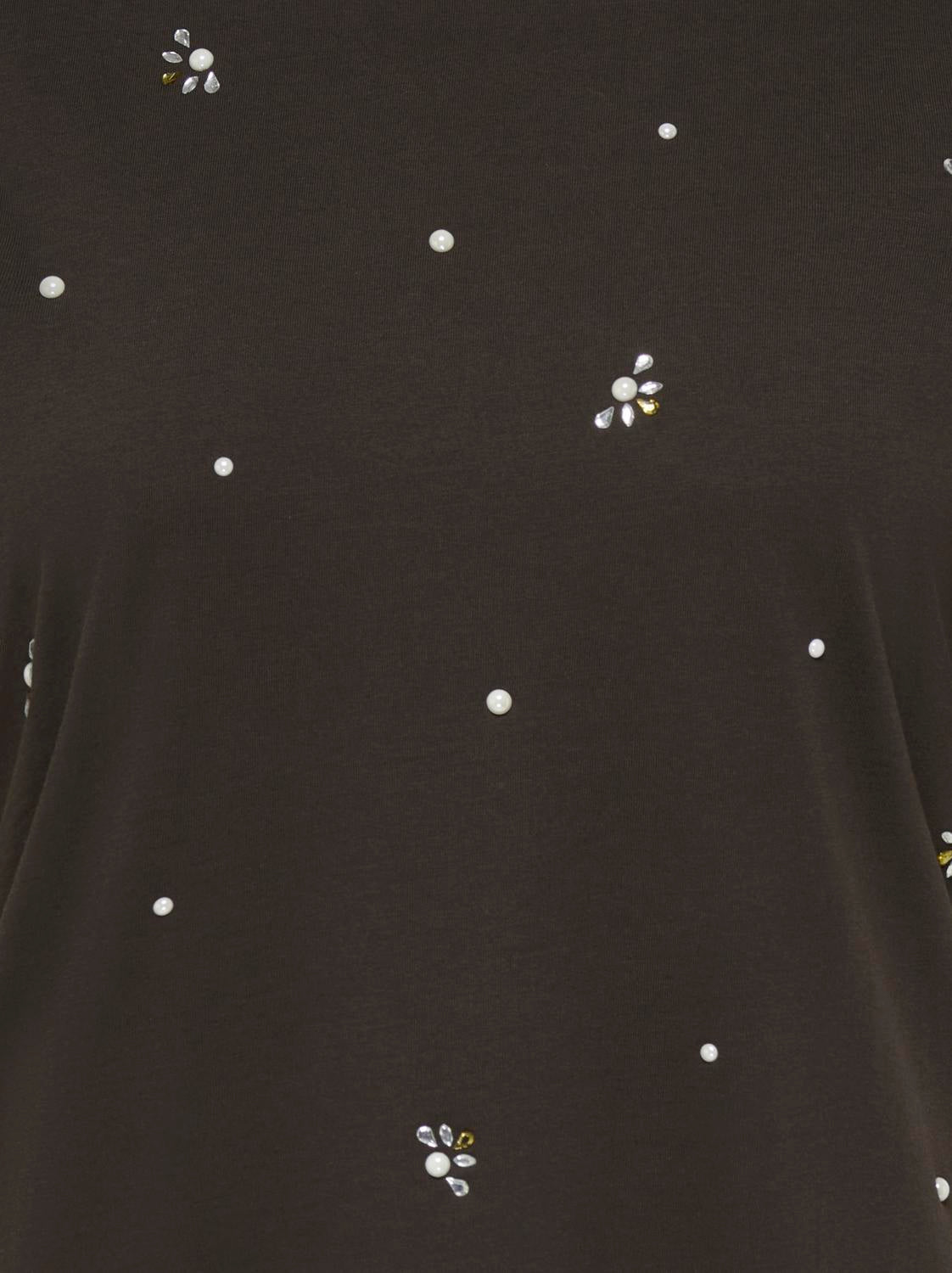 Carryder Ss Sleeve O-Neck Reg