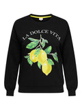 CARLACEY LIFE L/S O-NECK SWEAT