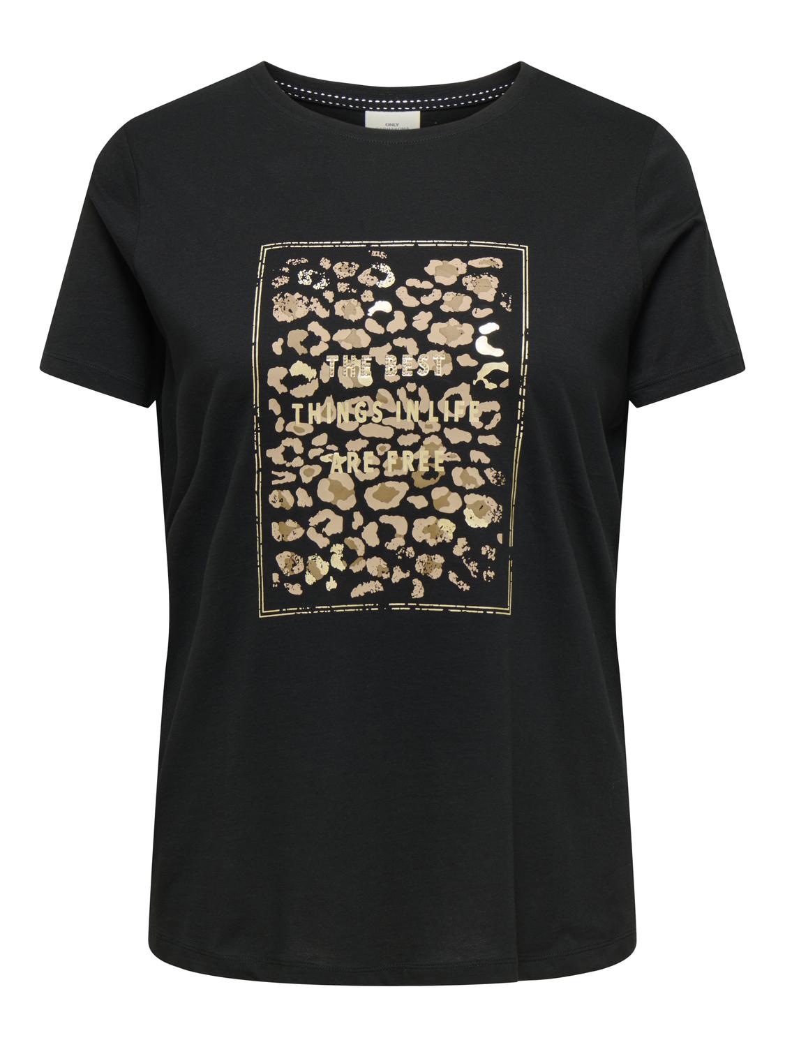 Carcruz Ss O-Neck Reg Tee