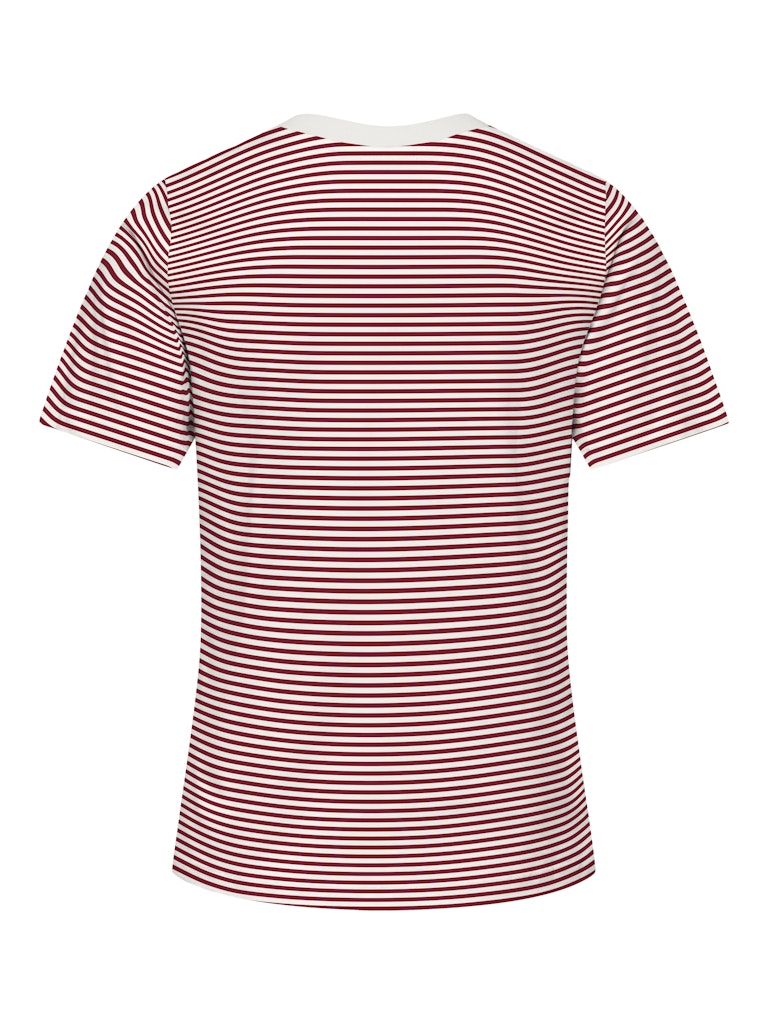 JDYPISA TEE STRIPE RHUBARB TOP